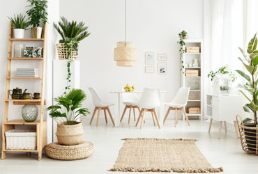 5 Suggestions for Eco-friendly Interiors