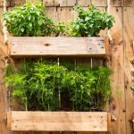 vertical vegetable garden