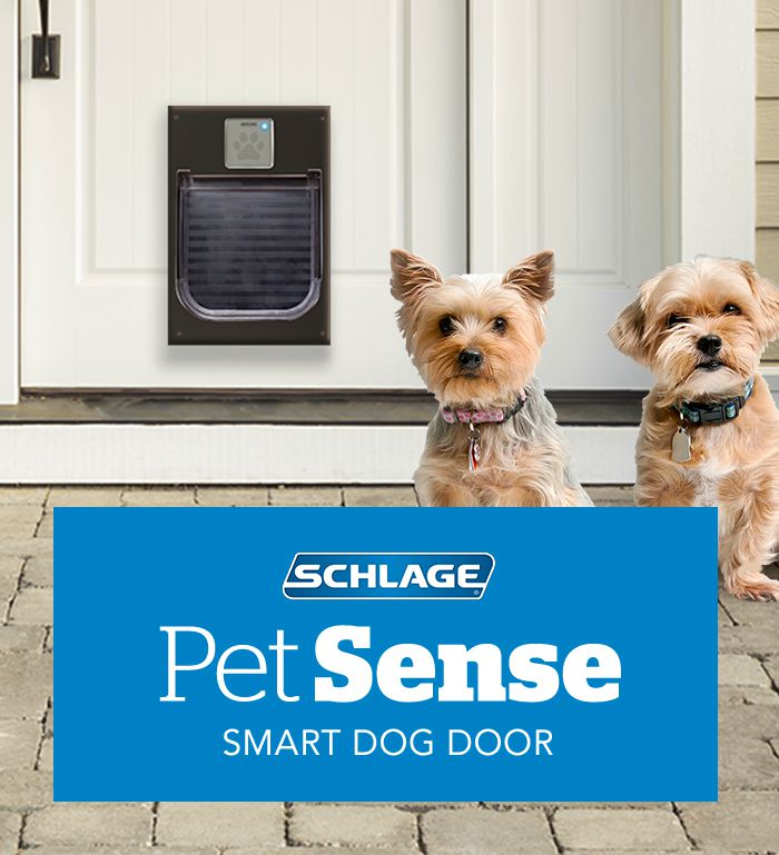 Smart lock - Dogs - Schlage - April Fool's