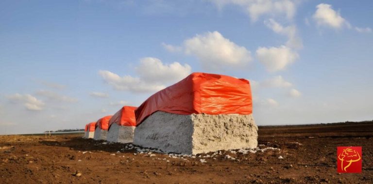 Protecting Seed Cotton with Hay Tarps