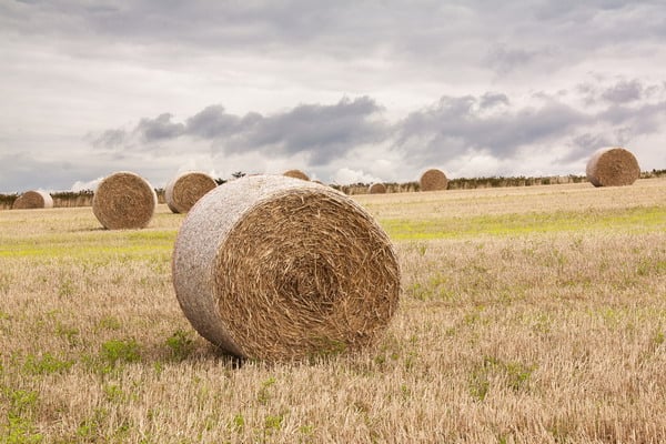 hay Moisture Testing