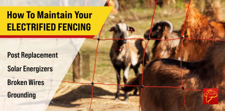 How to Maintain Your Electrified Fencing