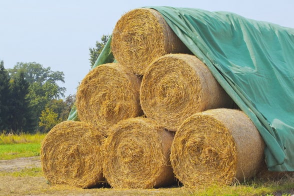 Hay Tarps: A Wise Investment