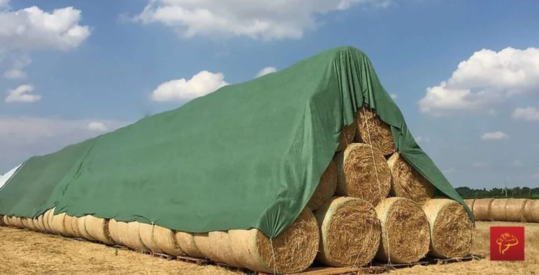 Hay Tarps: Protecting America's Livestock Feed